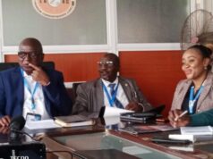 United Nigeria Airline boss laments operational woes, seeks government’s intervention