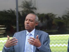 Why we invested in e-commerce logistics hub—Tasew, GCEO, Ethiopian Airline