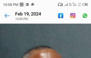 Adedayo Alale emerges new ANAP president