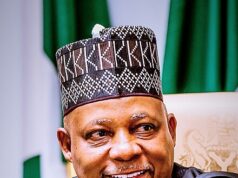Shettima pledges FG’s support for domestic airlines