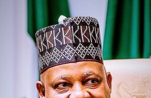 Shettima pledges FG’s support for domestic airlines
