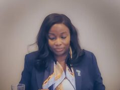 FAAN MD attends first ACI WGB meeting as regional adviser for Africa