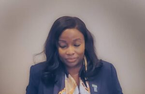 FAAN MD attends first ACI WGB meeting as regional adviser for Africa