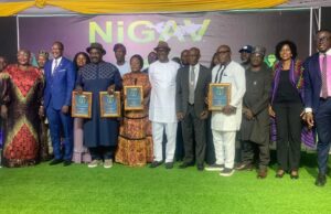 Pomp, pageantry as NIGAV awards hold in Lagos, Keyamo pledges support for King, Queen of the Air CSR programme