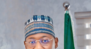 NSIB responds to US report on Nigeria’s airports safety, clarifies role in Wigwe’s helicopter crash