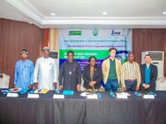 NiMet DG Advocates Climate-Smart PPP at IFAD Workshop