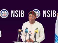 Multimodal status: NSIB DG Canvases Improved Funding, Collaboration to Enhance Investigations