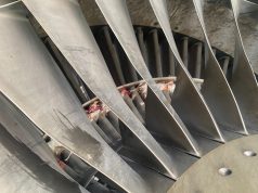 United Nigeria Airlines grounds two aircraft over bird strike