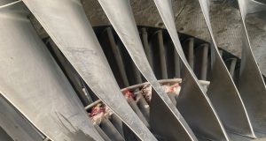 United Nigeria Airlines grounds two aircraft over bird strike