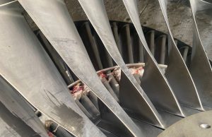 United Nigeria Airlines grounds two aircraft over bird strike