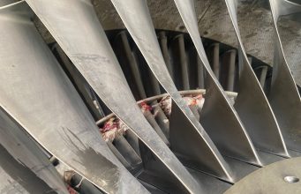 United Nigeria Airlines grounds two aircraft over bird strike