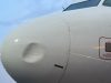 United Nigeria Airlines grounds another aircraft after sixth bird strike