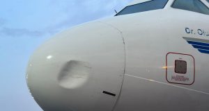 United Nigeria Airlines grounds another aircraft after sixth bird strike