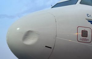 United Nigeria Airlines grounds another aircraft after sixth bird strike